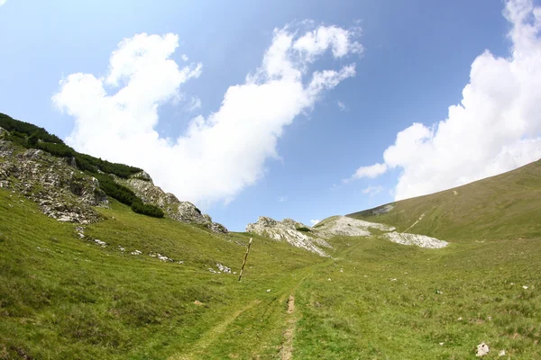 Romanya 'daki Güney Karpatlar' ın bir parçası olan Bucegi Dağları 'ndan manzara