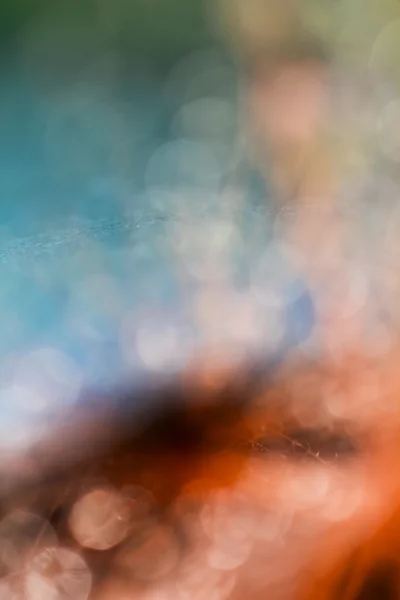 Natural, fundo abstrato colorido com bokeh — Fotografia de Stock