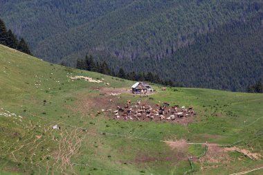 Romanya 'daki Güney Karpatlar' ın bir parçası olan Bucegi Dağları 'ndan manzara