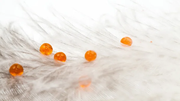 Composição abstrata com pena de galinha e gotas de água coloridas — Fotografia de Stock