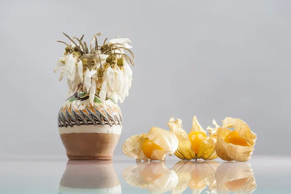 Miechunka peruwiańska owoców w koszu i zielonych roślin z jasnym szarym tle i rozważaniach — Zdjęcie stockowe