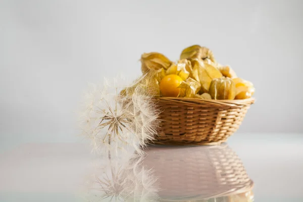 Physalis peruviana ovoce v košíku a zelených rostlin se světle šedým pozadím a podpěry — Stock fotografie