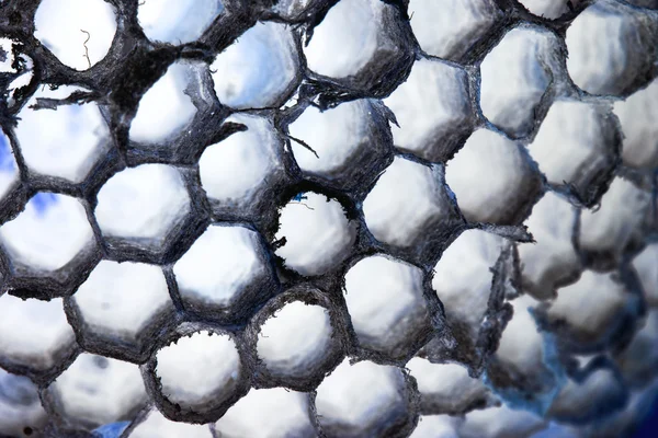 ハチの櫛と抽象的な構成 — ストック写真