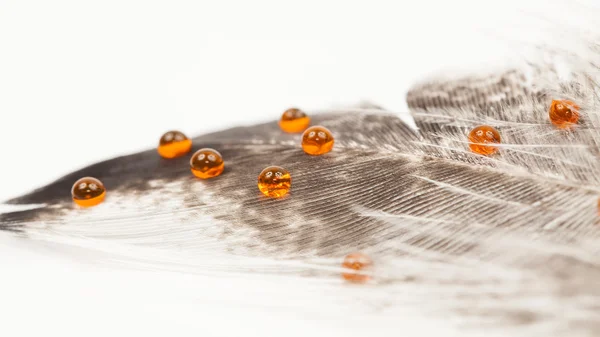 Abstract composition with hen feather and colorful water drops — Stock Photo, Image