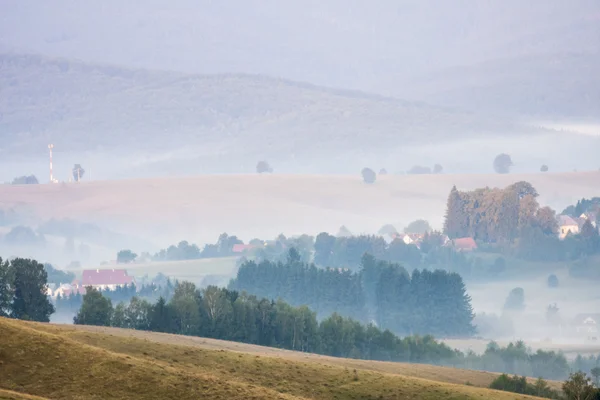 Rumänska berglandskap med dimma och träd — Stockfoto