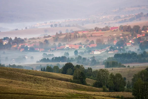 Rumuńskie góry krajobraz mgła i drzew — Zdjęcie stockowe
