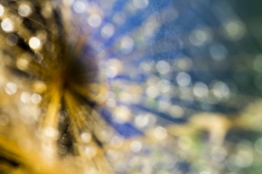 Doğal, renkli arka plan ile bokeh