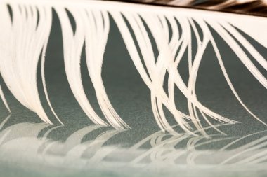 Renkli horoz tüy detayları ve yenilgileri ile