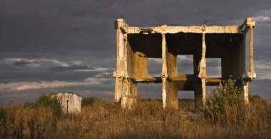 ağacın alanında yıkık ev