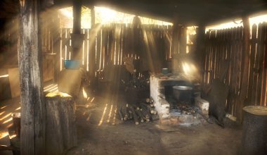 ağacın alanında yıkık ev