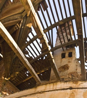 ağacın alanında yıkık ev