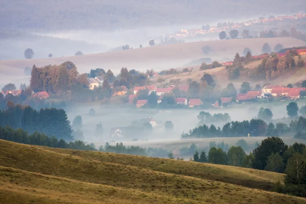 罗马尼亚山景观与雾和树 — 图库照片