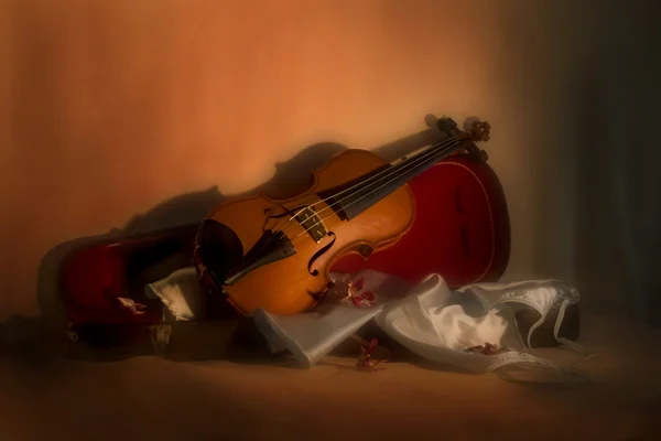 ヴァイオリンのある静物構成 — ストック写真