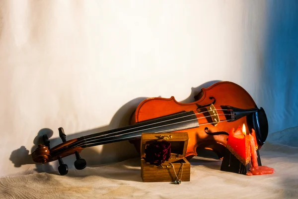 Still life composition with violin — Stock Photo, Image