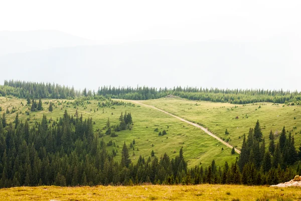 Paesaggio dai monti Bucegi, parte dei Carpazi meridionali in Romania. Effetto obiettivo Fisheye — Foto Stock