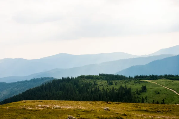 Paisaje de las montañas Bucegi, parte de los Cárpatos del Sur en Rumania. Efecto lente ojo de pez —  Fotos de Stock