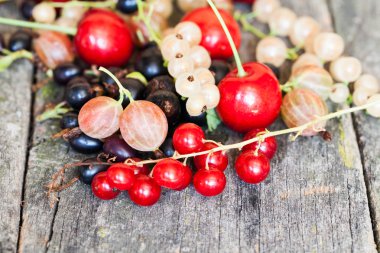 Kuş üzümü, kiraz ve diğer yaz meyve