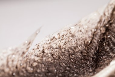 Renkli tavuk tüy ile soyut kompozisyon