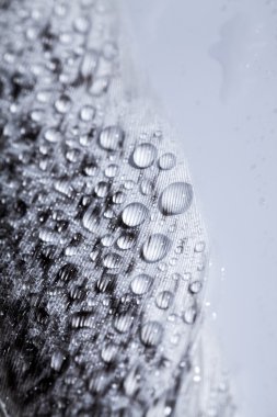 Renkli tavuk tüy ile soyut kompozisyon