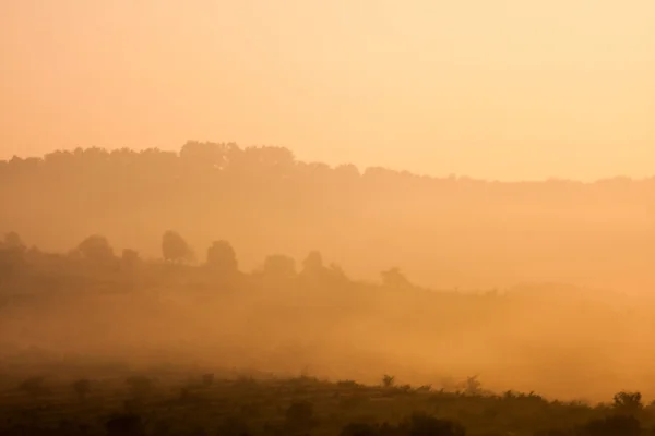 Foggy landscape — Stock Photo, Image