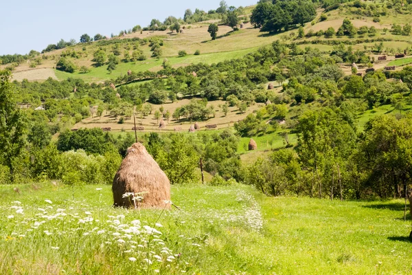 Paisaje rumano — Foto de Stock