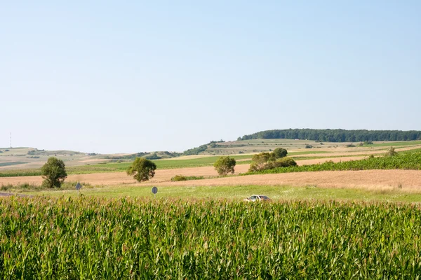 Roemeense landschap — Stockfoto