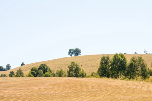 Rumunská krajina — Stock fotografie