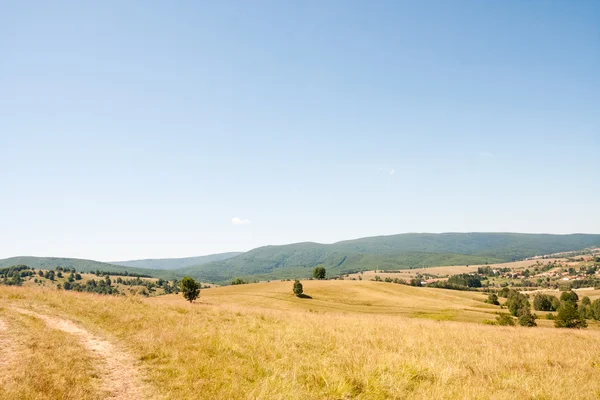 Romanian  landscape — Stock Photo, Image
