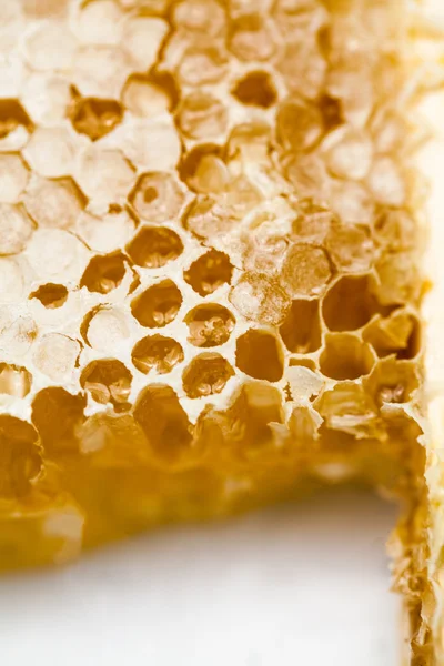 Peine de abeja lleno de miel — Foto de Stock