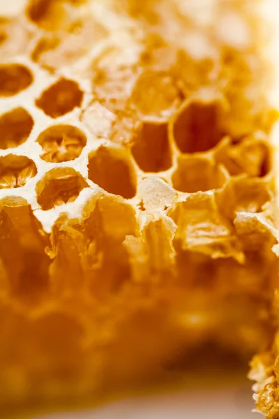 Honeycomb filled with honey — Stock Photo, Image