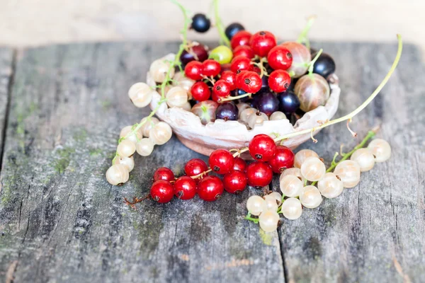 Grosellas, cerezas y otras frutas de verano —  Fotos de Stock