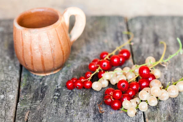 Grosellas, cerezas y otras frutas de verano —  Fotos de Stock