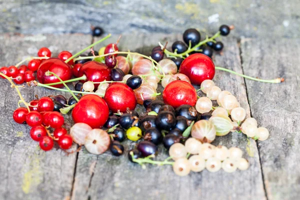 スグリ、チェリーおよび他の夏の果物 — ストック写真