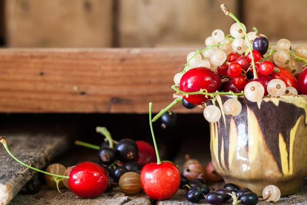 Grosellas, cerezas y otras frutas de verano —  Fotos de Stock