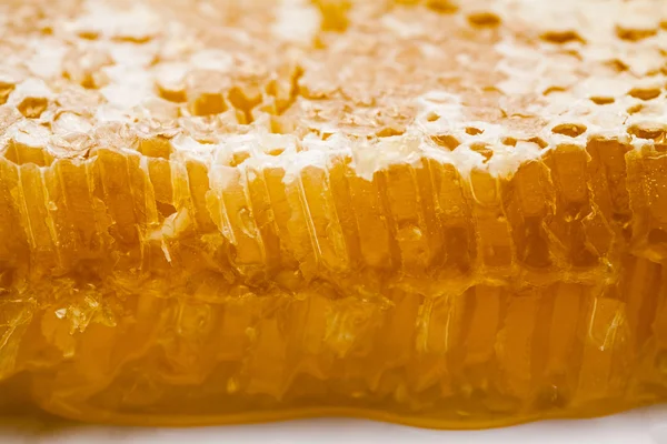 Honeycomb filled with honey — Stock Photo, Image