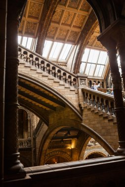 23. 07. 2015 Londra, İngiltere, Doğal Tarih Müzesi