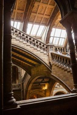 23. 07. 2015 Londra, İngiltere, Doğal Tarih Müzesi