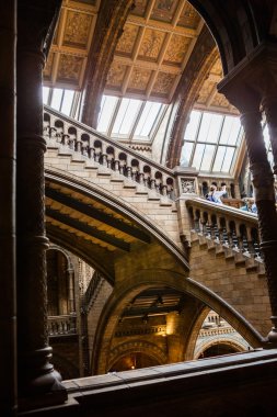 23. 07. 2015 Londra, İngiltere, Doğal Tarih Müzesi