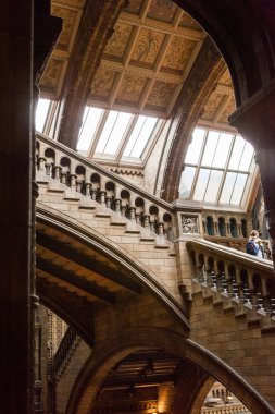 23. 07. 2015 Londra, İngiltere, Doğal Tarih Müzesi