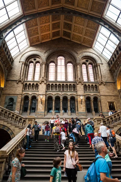 23. 07. 2015 LONDRES, Reino Unido, Museo de Historia Natural — Foto de Stock