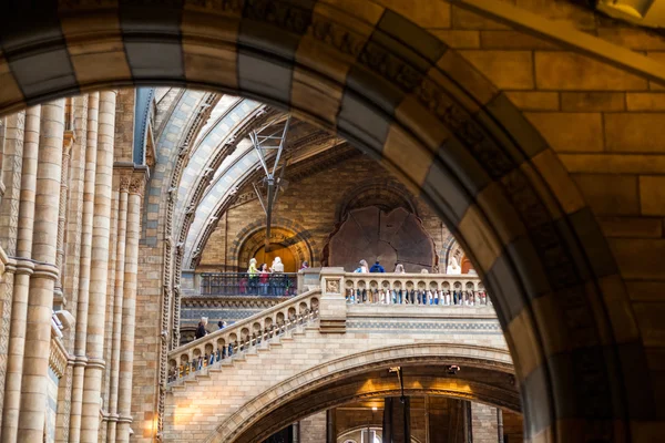 23. 07. 2015 LONDRES, Reino Unido, Museo de Historia Natural — Foto de Stock