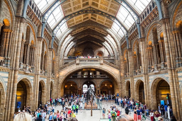 23. 07. 2015 LONDRES, Royaume-Uni, Musée d'histoire naturelle — Photo