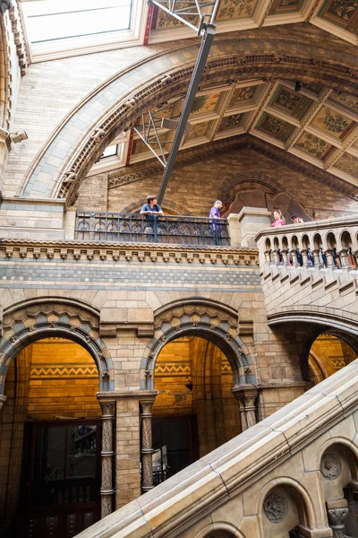 23. 07. 2015 LONDRES, Reino Unido, Museo de Historia Natural — Foto de Stock