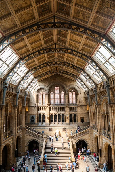 23. 07. 2015 LONDRES, Royaume-Uni, Musée d'histoire naturelle — Photo