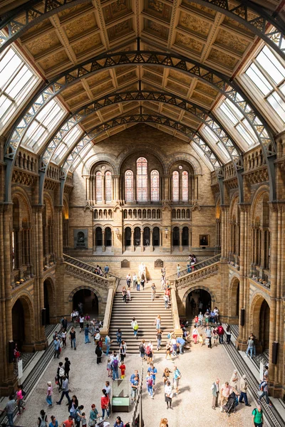 23. 07. 2015 Londra, İngiltere, Doğal Tarih Müzesi — Stok fotoğraf