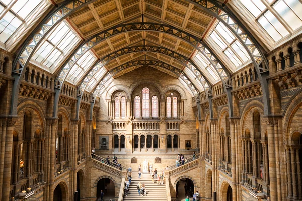 23. 07. 2015 london, uk, naturhistorisches museum — Stockfoto