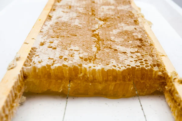 Méhsejt méz tele — Stock Fotó
