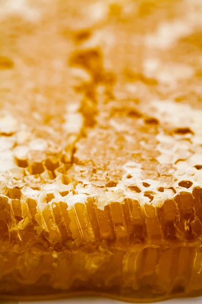 Honeycomb filled with honey — Stock Photo, Image