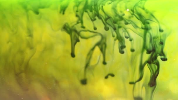Water en inkt mengen voor een prachtige abstracte beweging — Stockvideo