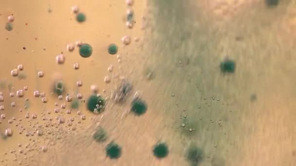 水、 油、 油墨混合的泡腾举动 — 图库视频影像
